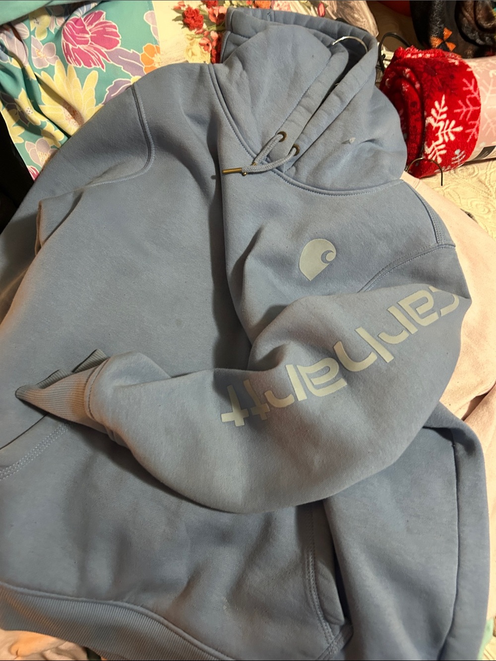 carhartt hoodie
